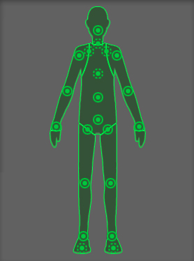 Unitys Avatar structure